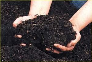 Compost Bio