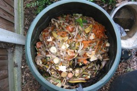 compostage-Fruits-legumes