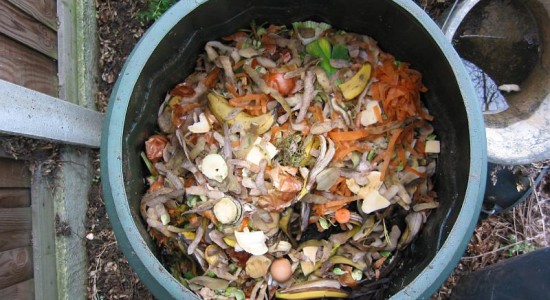 compostage-Fruits-legumes