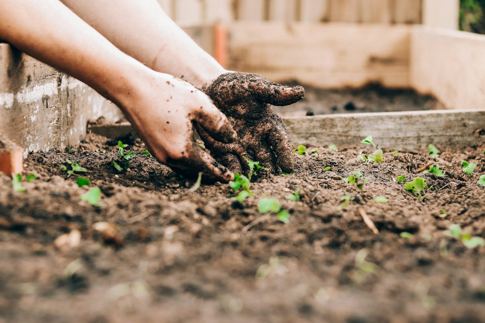 Composteur balcon - Les meilleurs modèles de bac a compost